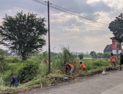 Bagana Jombatan Gelar Kerja Bakti, Bersihkan Rumput di Ruas Jalan Kesamben-Tembelang